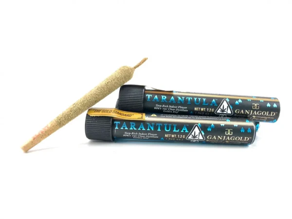 Buy Ganja Gold Blue Tarantula UK